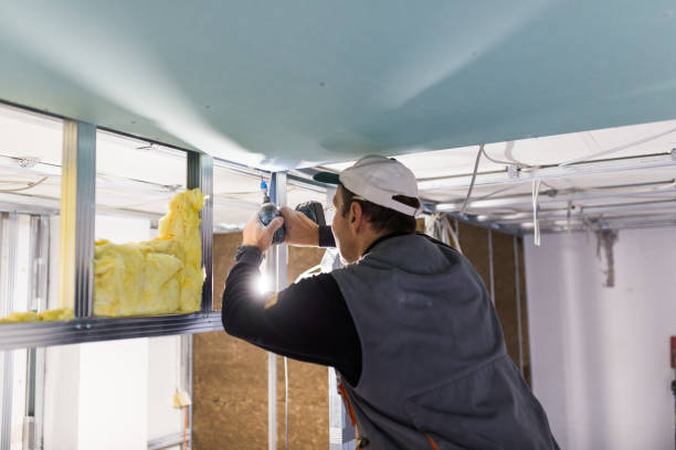 Best Insulation Replacement Services  in Pearl River, NY