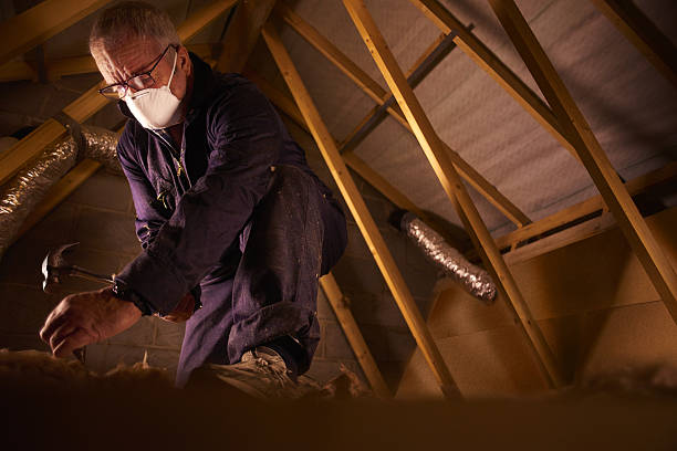 Best Insulation Removal  in Pearl River, NY