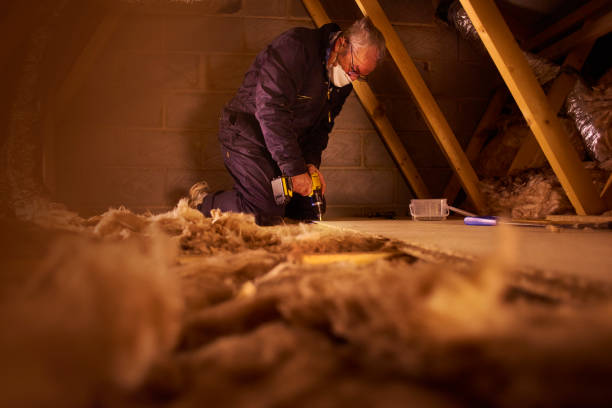 Best Cellulose Insulation  in Pearl River, NY