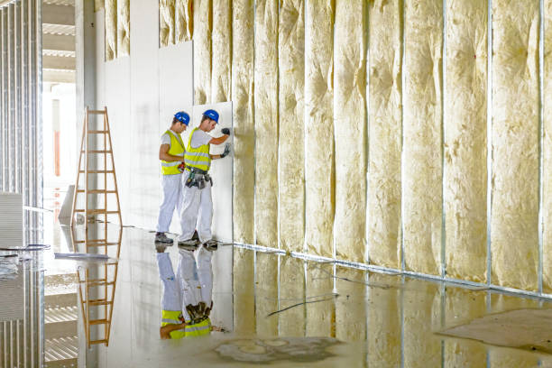Best Energy-efficient Insulation  in Pearl River, NY